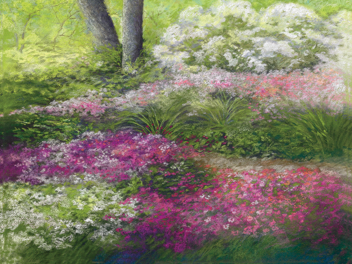 Shade Garden