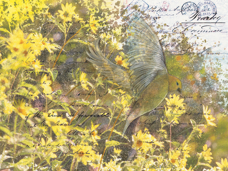 Finch and Lemon Queen Sunflowers