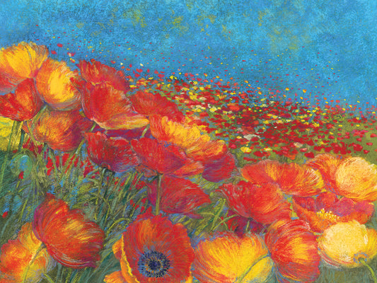 Red & Yellow Poppies