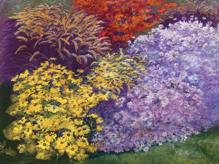 Autumn Mums