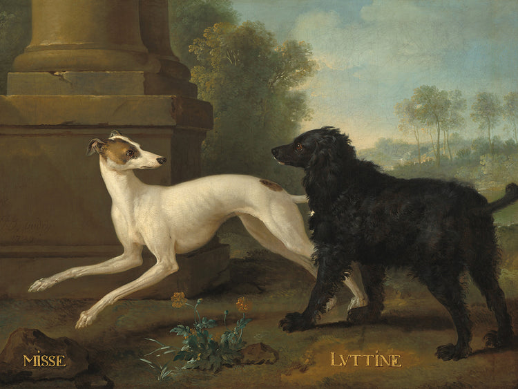 Misse and Luttine, 1729