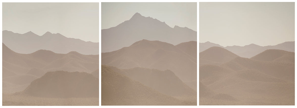 Neutral Landscape I