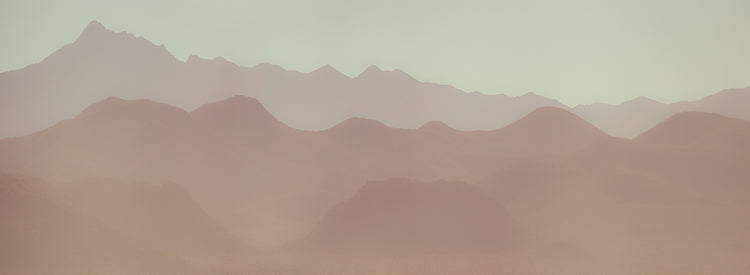 Neutral Landscape II