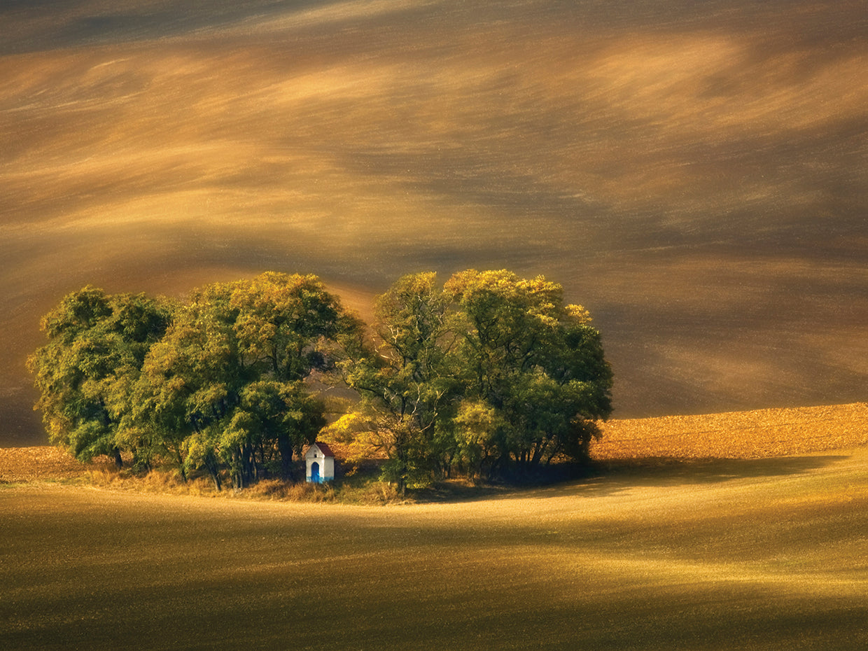 Browko - Moravian Fields