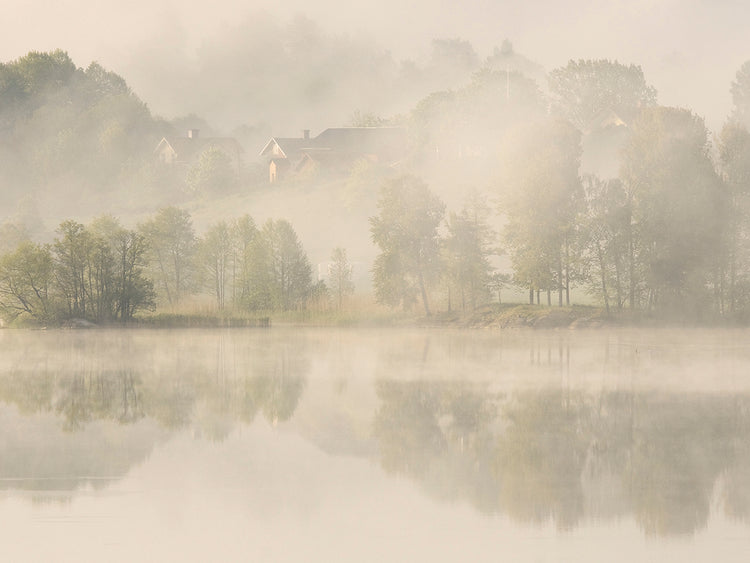 Wallberg - Temprano en la mañana Lienzo