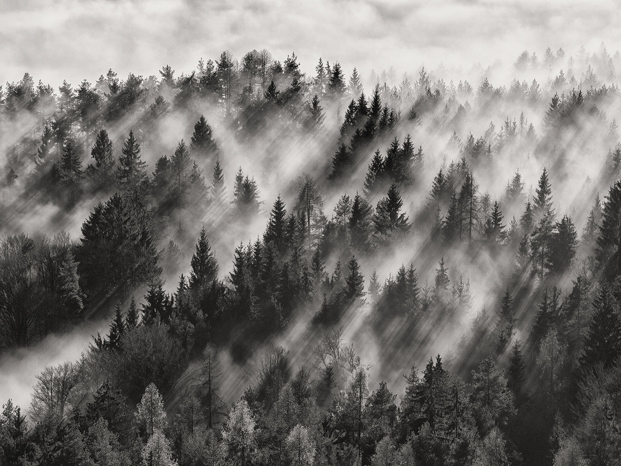 Baloh - Sundance No.1