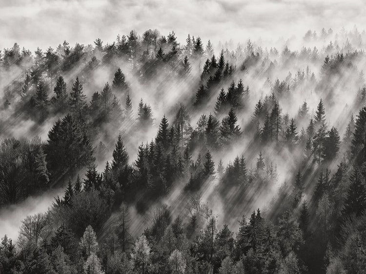 Baloh - Sundance No.1