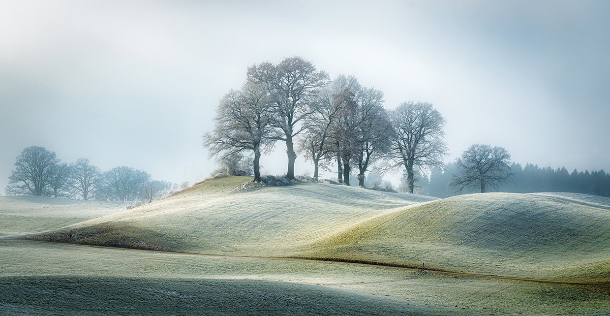 Eisenmann - It is not in tuscany