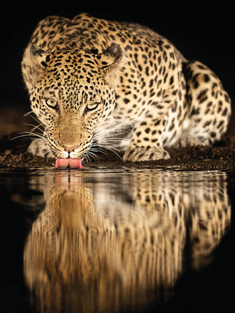 Eichelberg - Single Mother