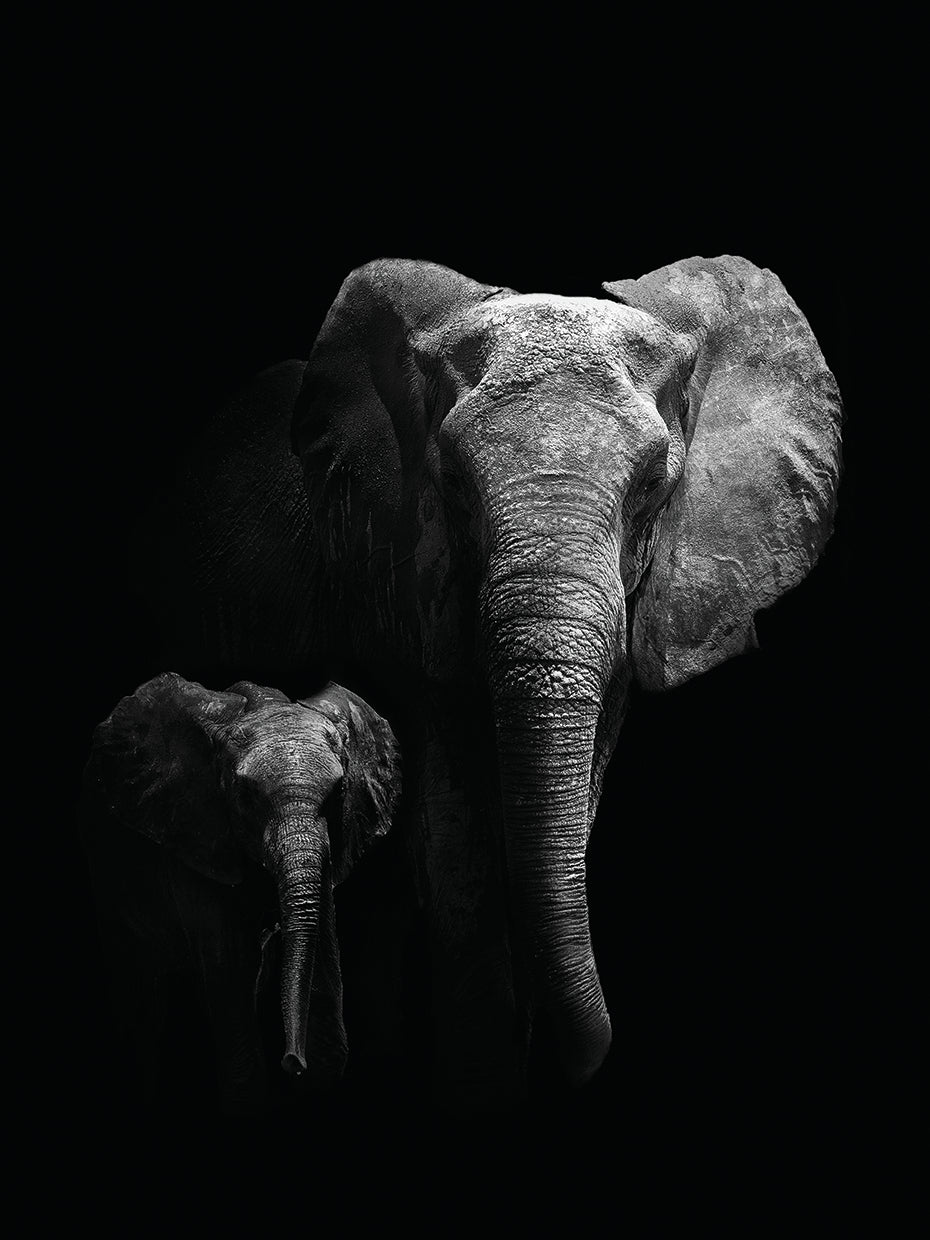 WildPhotoArt - Madre e hijo Lienzo