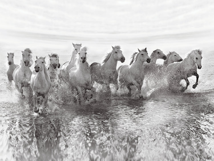 Golubenko - Illusion of power