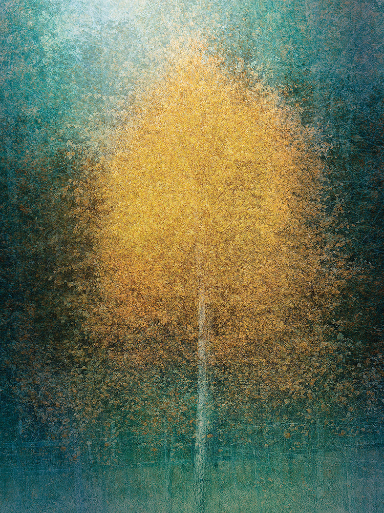 Holmstrom - Young At Heart