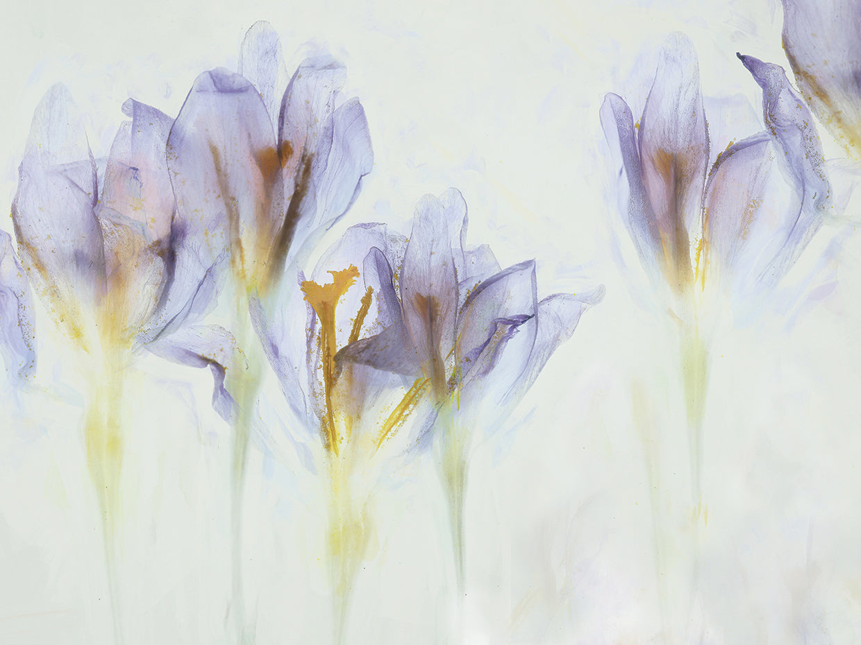 Talen - Spring