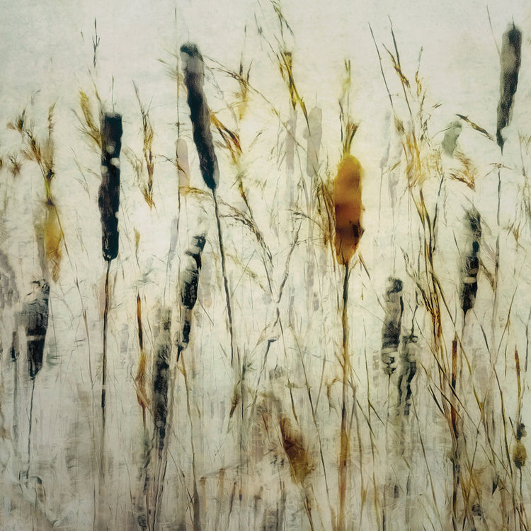 Talen - Totora y juncos Lienzo
