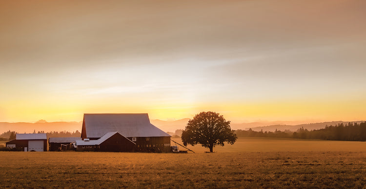 Red Barn at Sundown