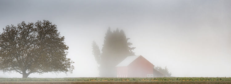 Red Barn Draped in Mist