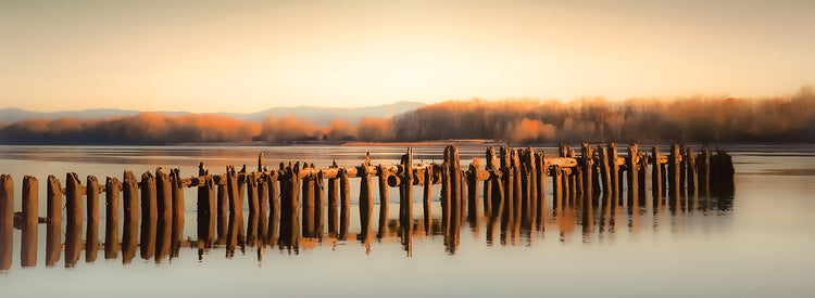Late Autumn Along the River