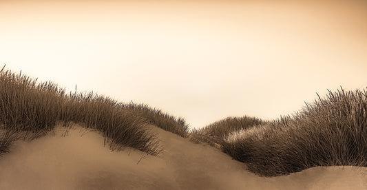 Dunes at Sunrise