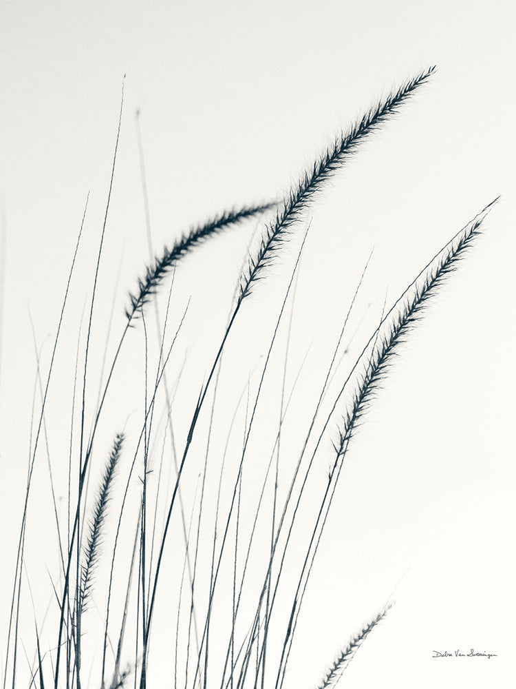 Field Grasses III Crop