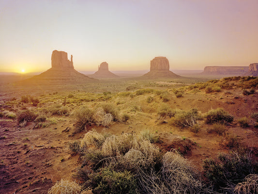 Dawn in the Desert Canvas Print