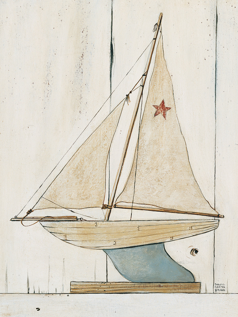 Pond Yacht II