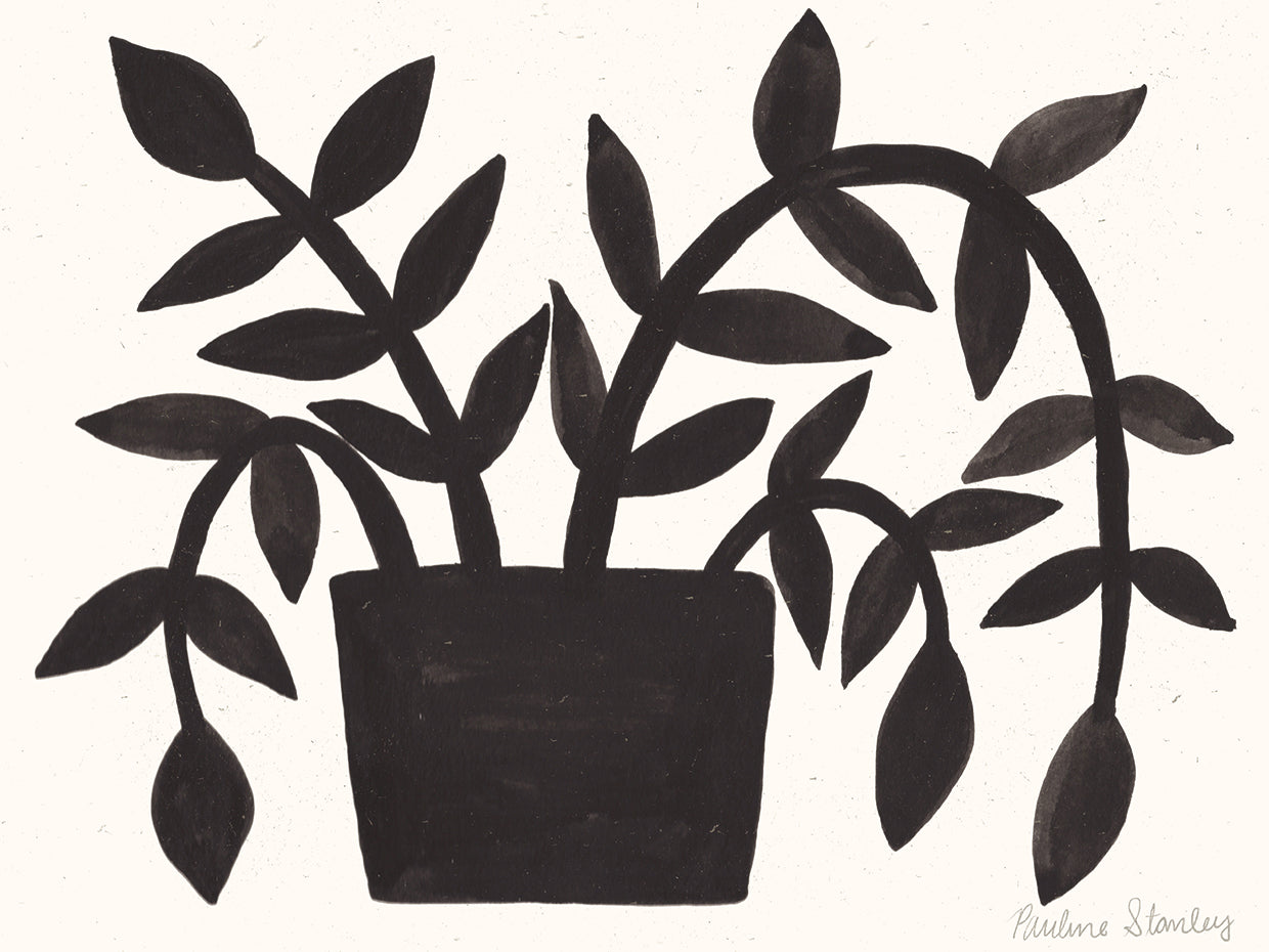 Black Plant Gouache