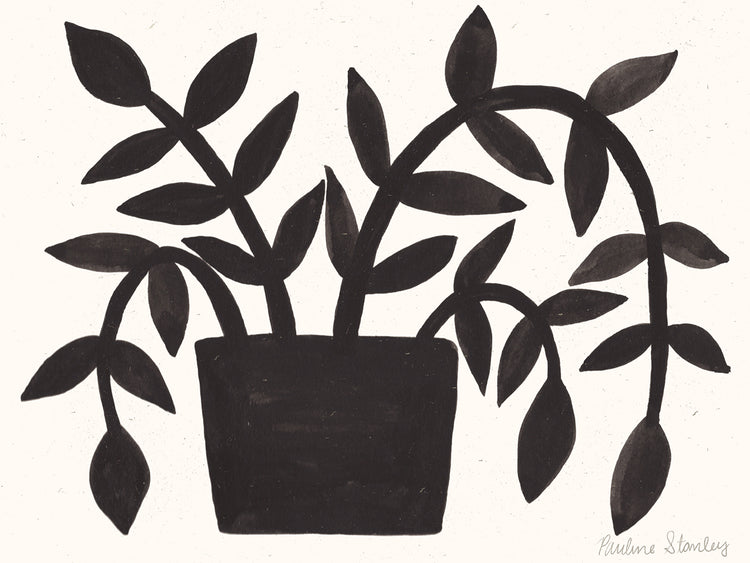 Black Plant Gouache