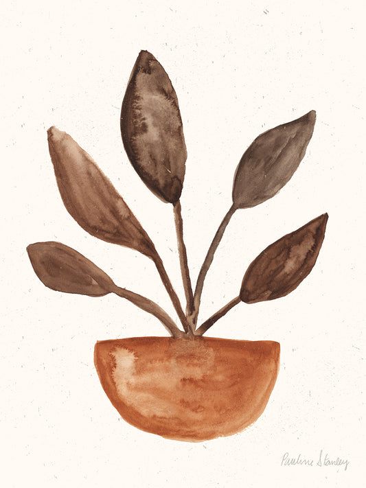 Sprouted Plant Terracotta