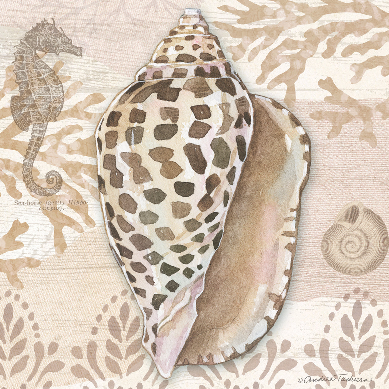 Neutral Shell Square 2