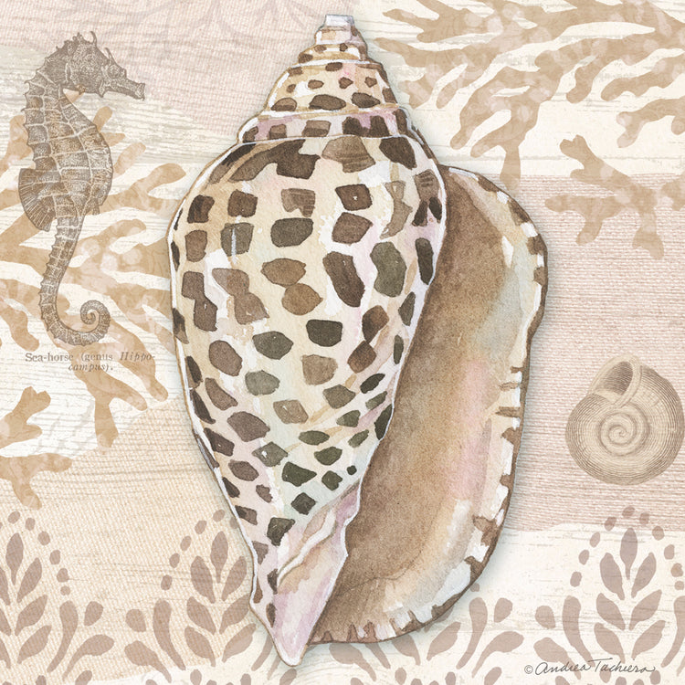 Neutral Shell Square 2