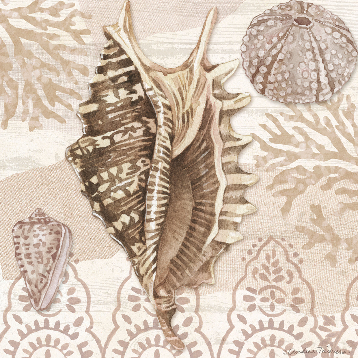 Neutral Shell Study 4