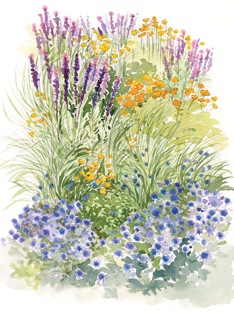 Blues Garden