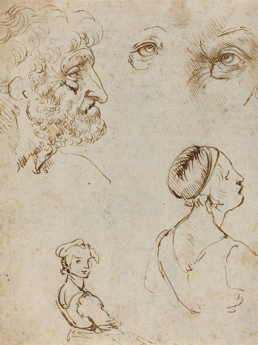 Sheet of Studies [recto], probably 1470/1480 Canvas Print