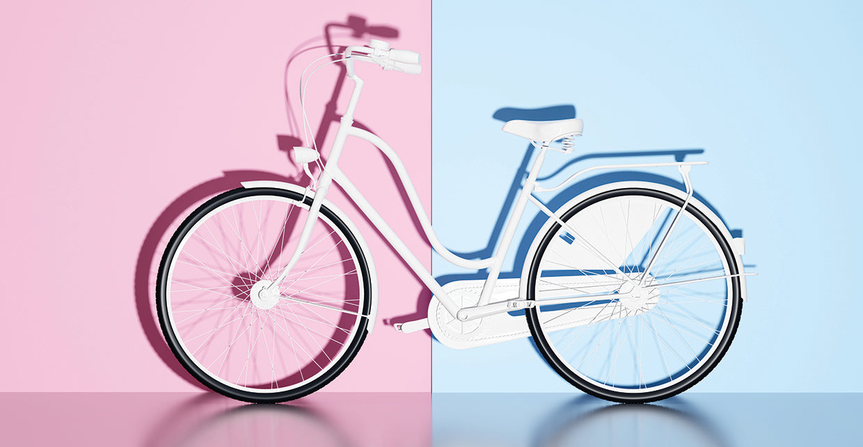 Bicicleta Lienzo