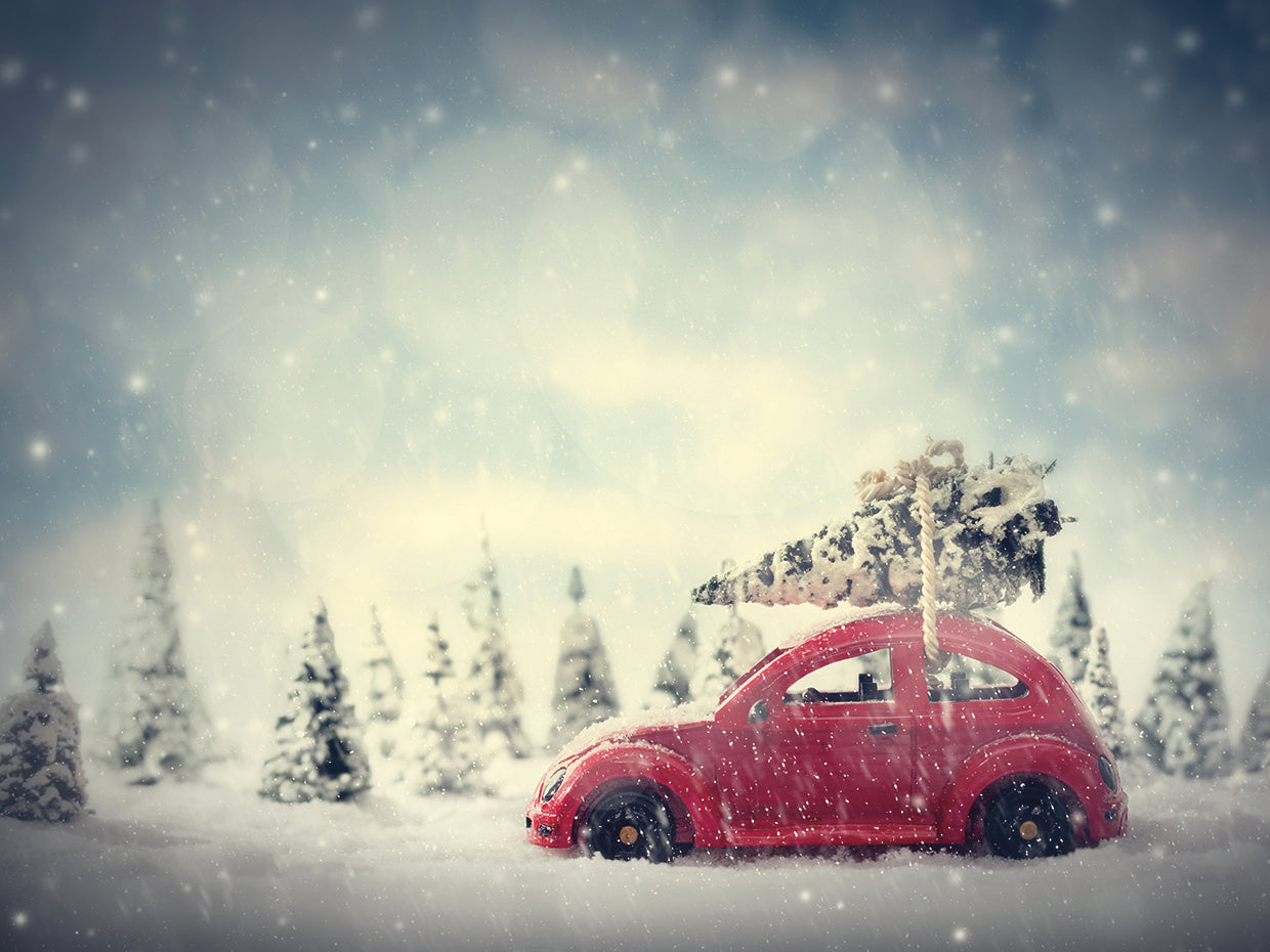 Ir a casa por Navidad Lienzo