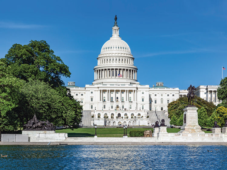 Estados Unidos Lienzo