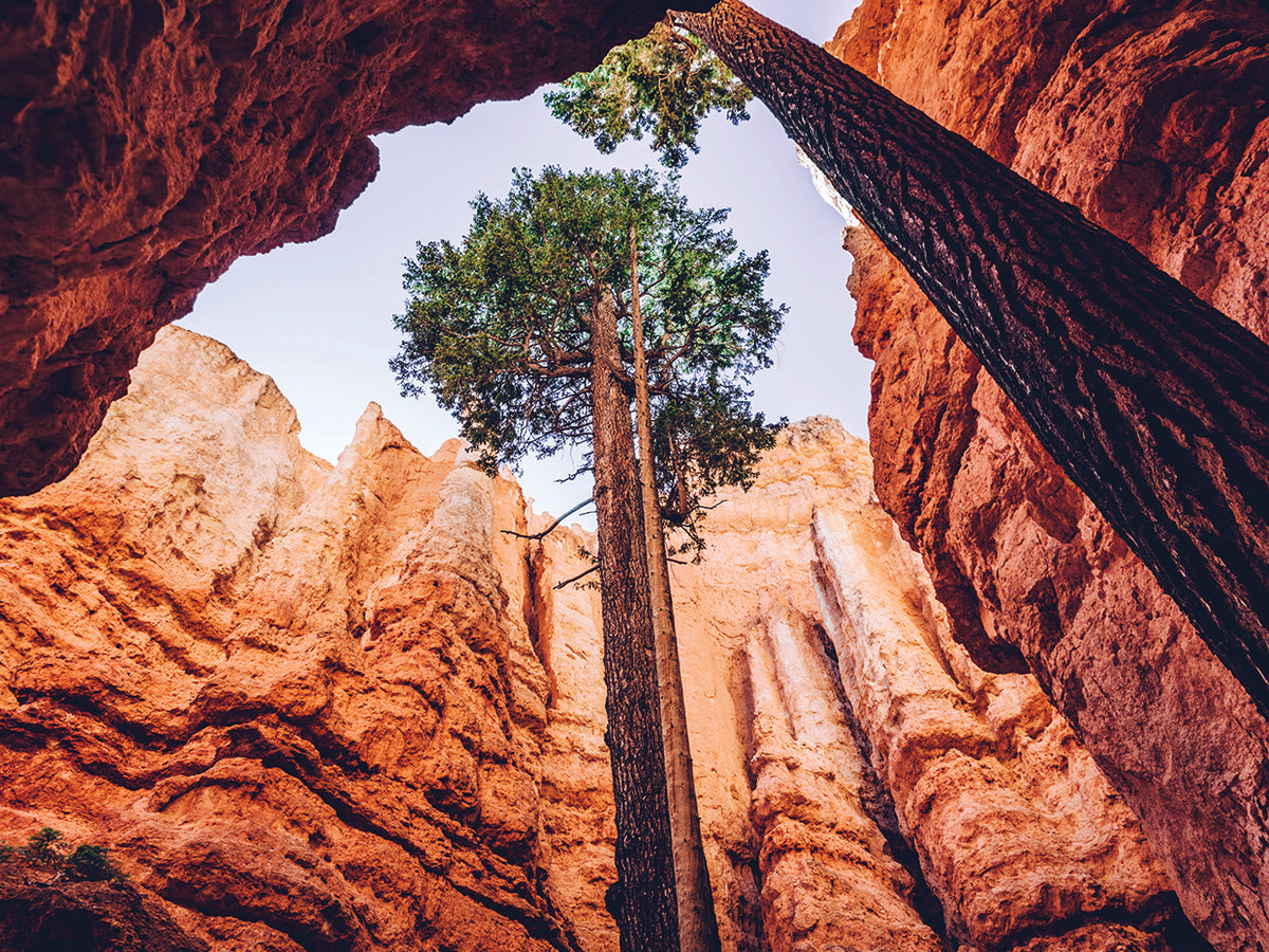 USA Cave II