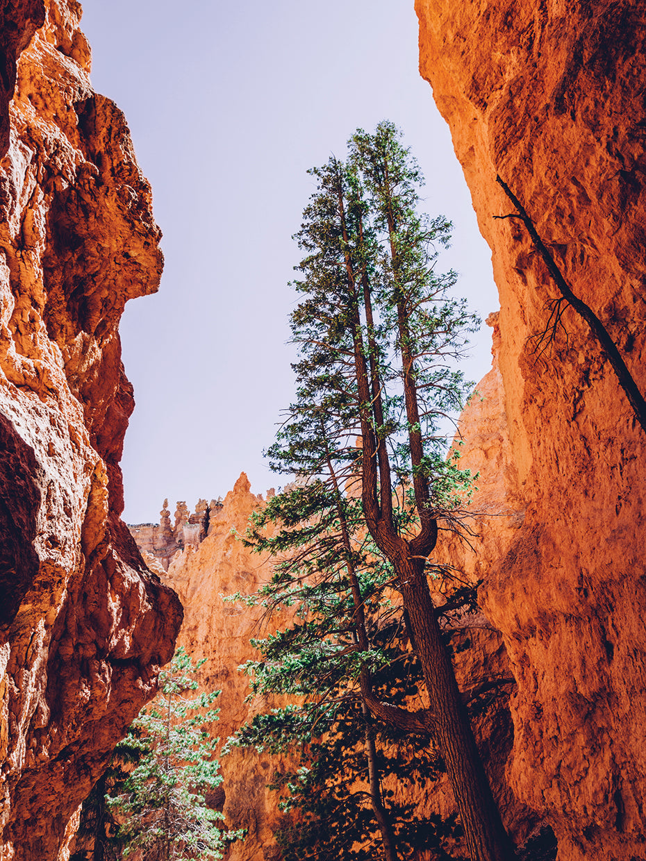 USA Cave III