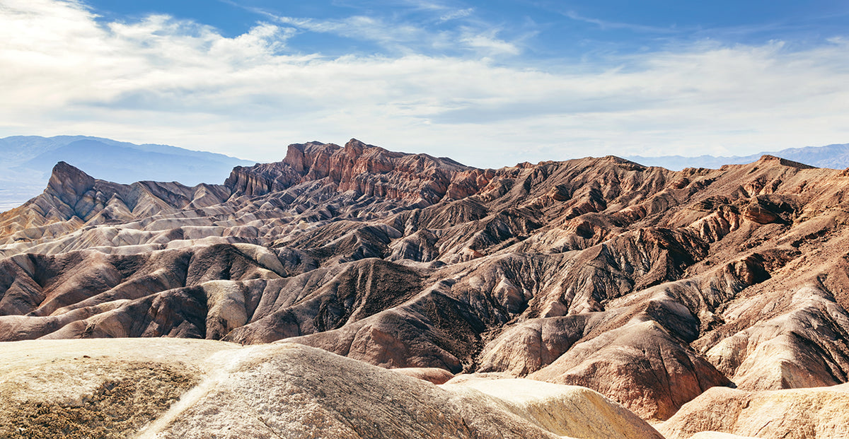 Arizona IV