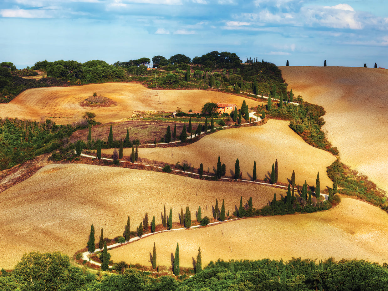 Toscana II Lienzo