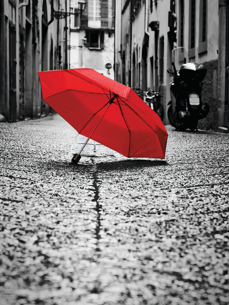 Paraguas rojo I Lienzo