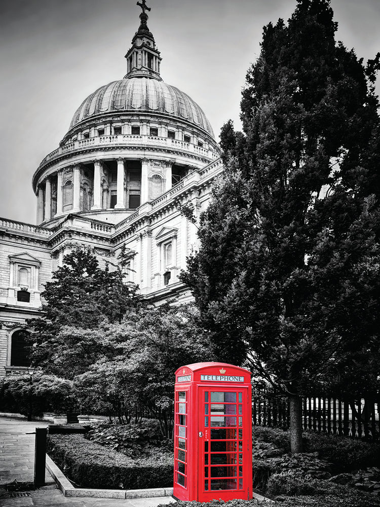 London Red Tele Lienzo