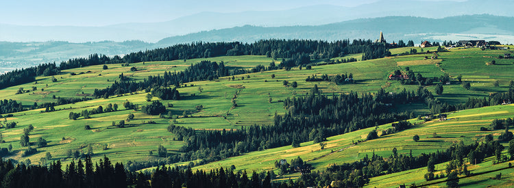 Paisaje 1 Lienzo