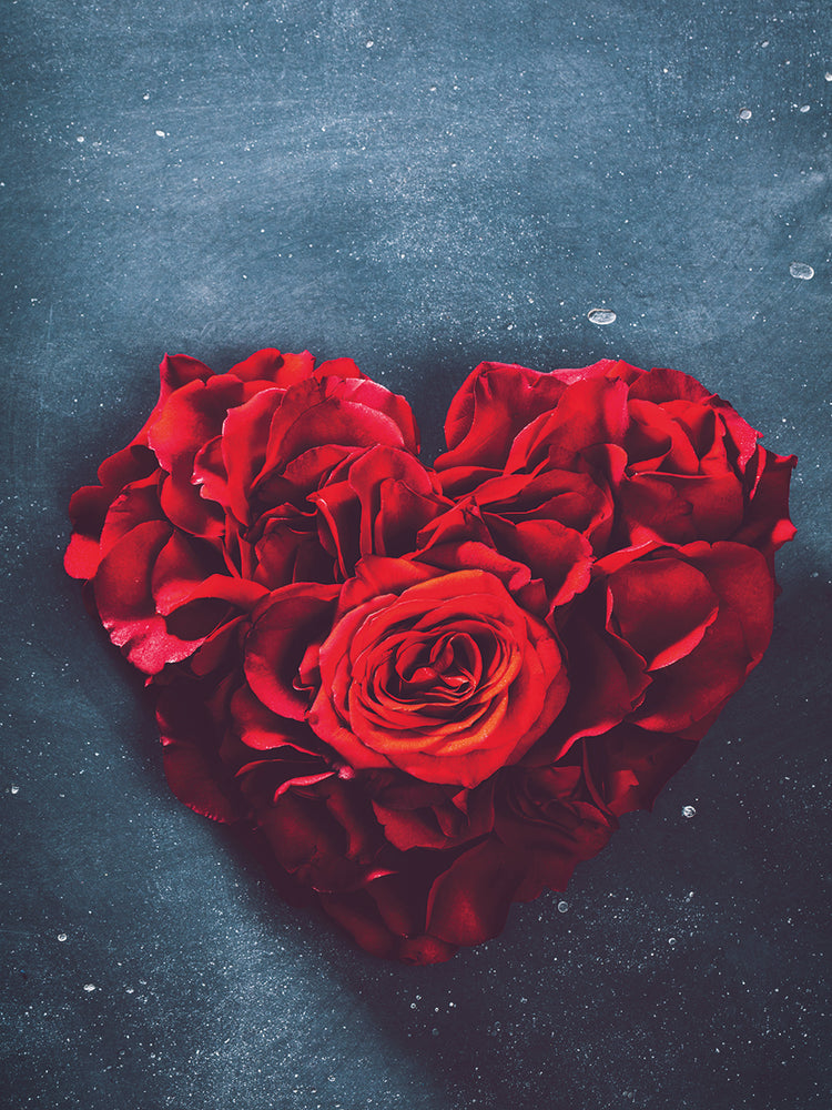 Rosa corazon 1 Lienzo