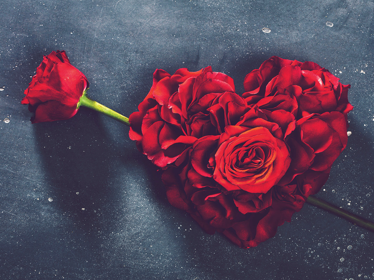 Rosa corazon 3 Lienzo
