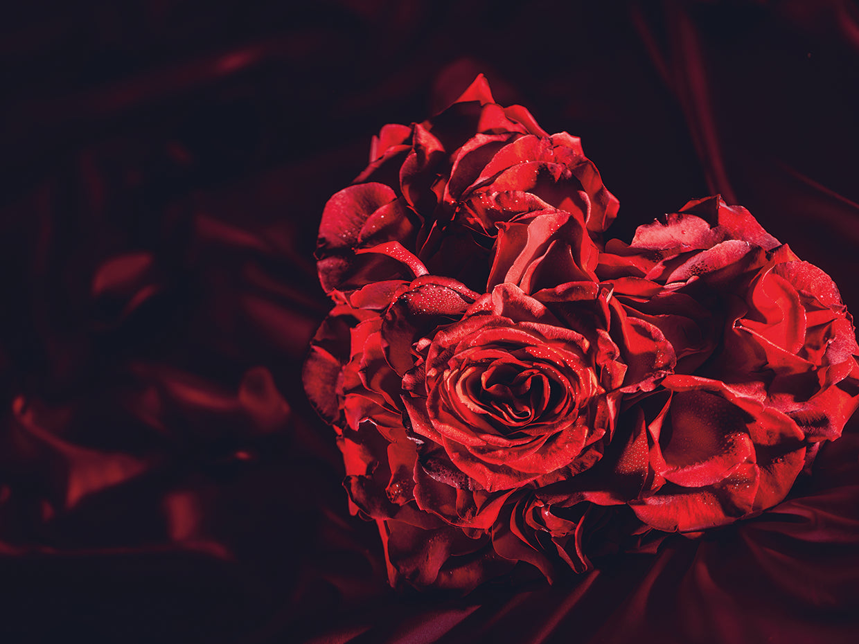 Rosa corazon 4 Lienzo
