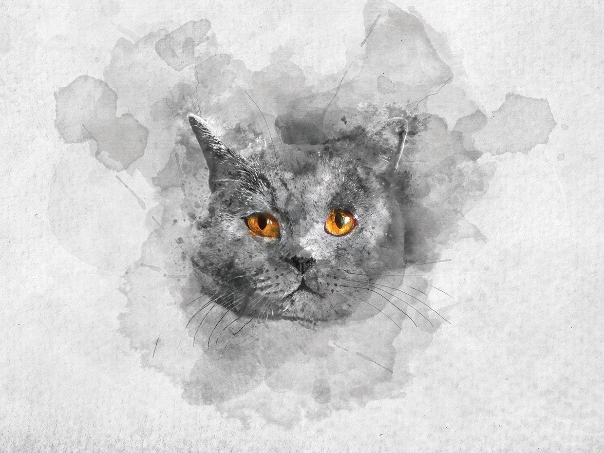 Watercolor Cat