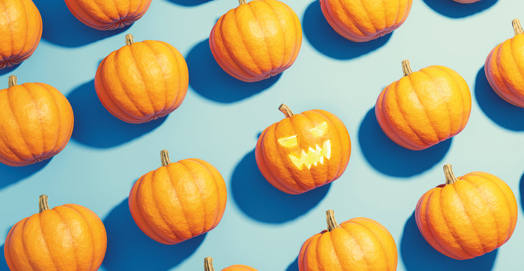 Halloween Carved Pumpkin 3