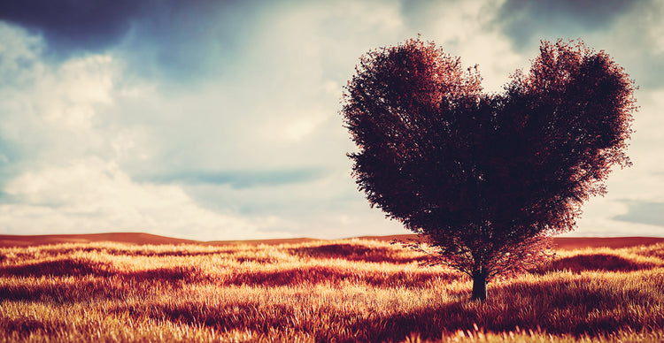 Heart Tree 3
