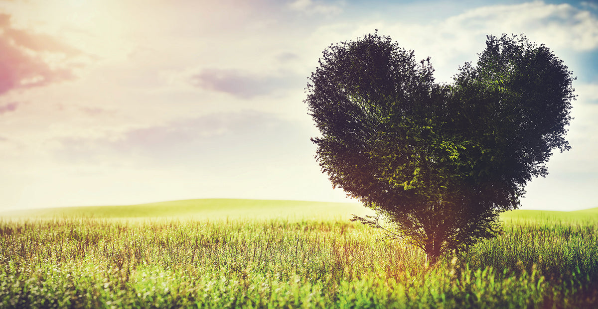 Heart Tree 4